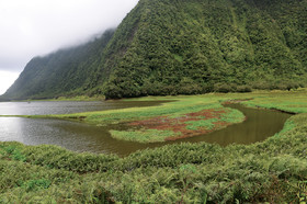 gelpaysage-1.jpg
