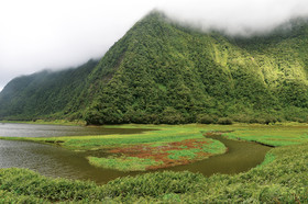 gelpaysage-2.jpg
