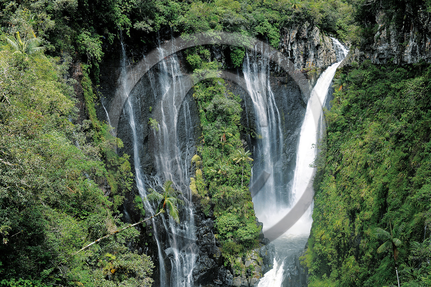 cascade-15.jpg