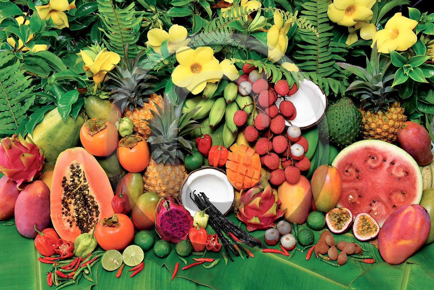 gelfruits-2.jpg