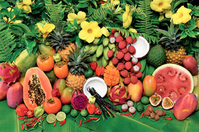 gelfruits-2.jpg