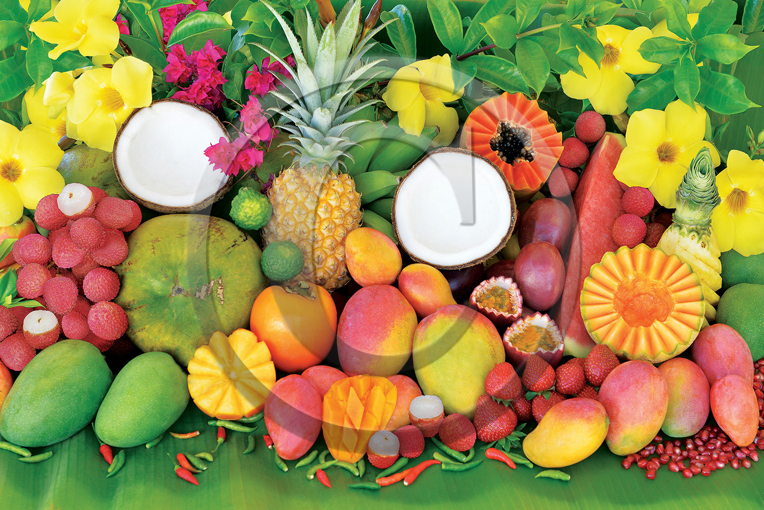 gelfruits-1.jpg